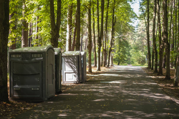 Best Portable toilet rental cost  in Ajo, AZ